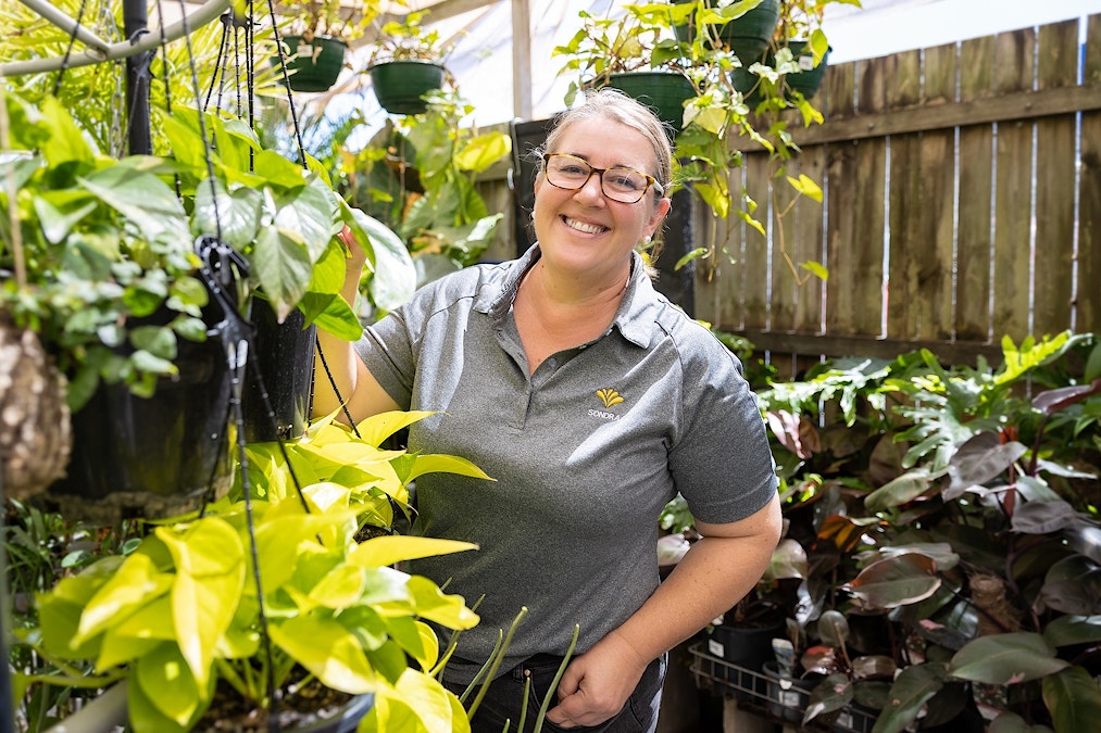 Drought-proof your garden this summer